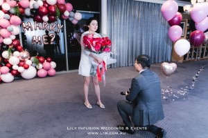 Arran's Surprise Proposal - LIW 2017